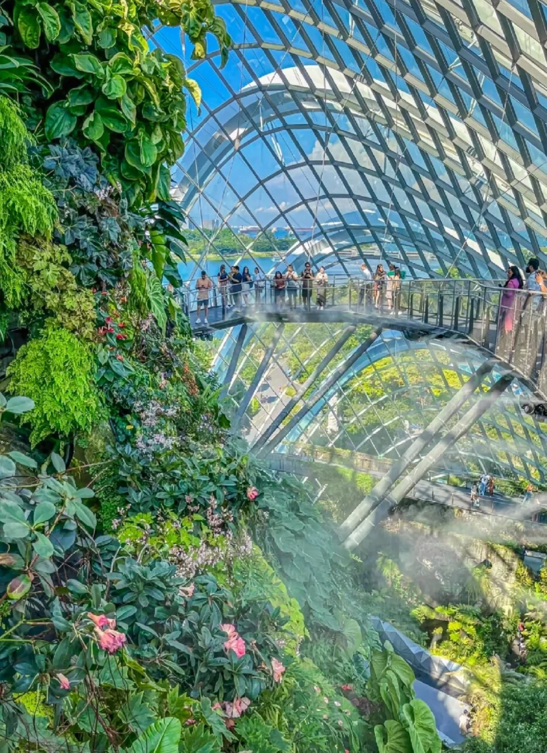 🇸🇬必打卡景点推荐（含优❤️缺点！）