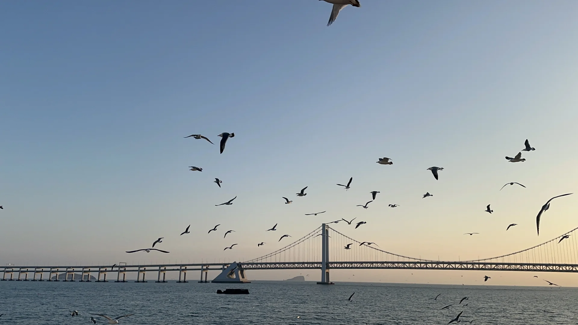 大连烟台青岛淄博济南｜300元玩五座城‼️