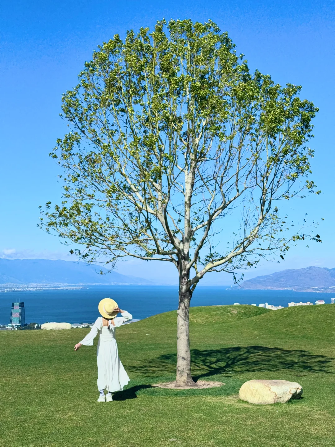 大理新西兰🌳🌳这就是live图的意义