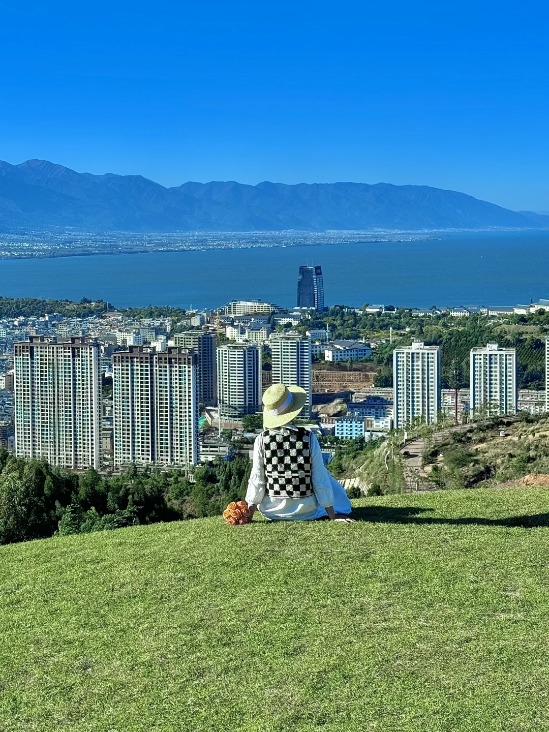 大理新西兰🌳🌳这就是live图的意义