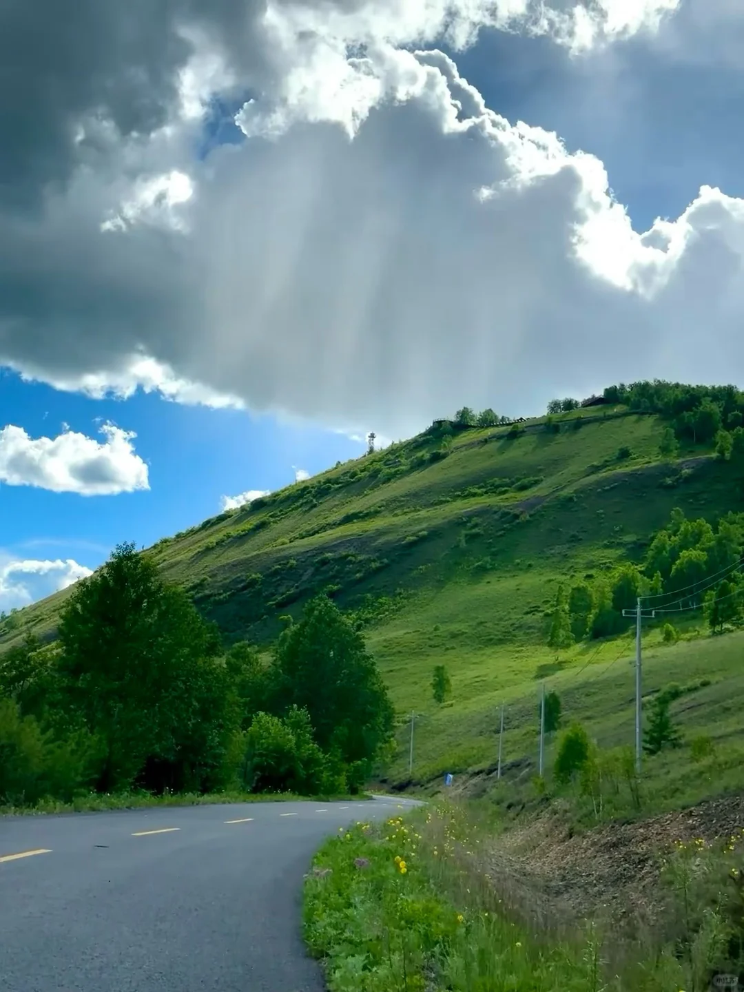 为什么我说5/6月才是乌兰布统的封神季❓