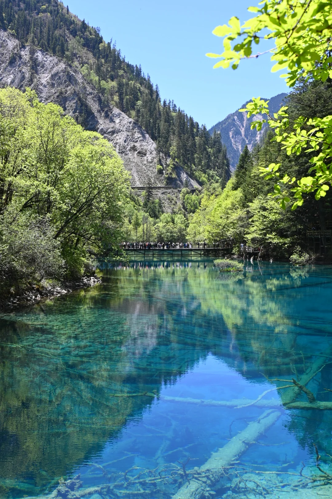 九寨周末景区两日深度游，实测可行！