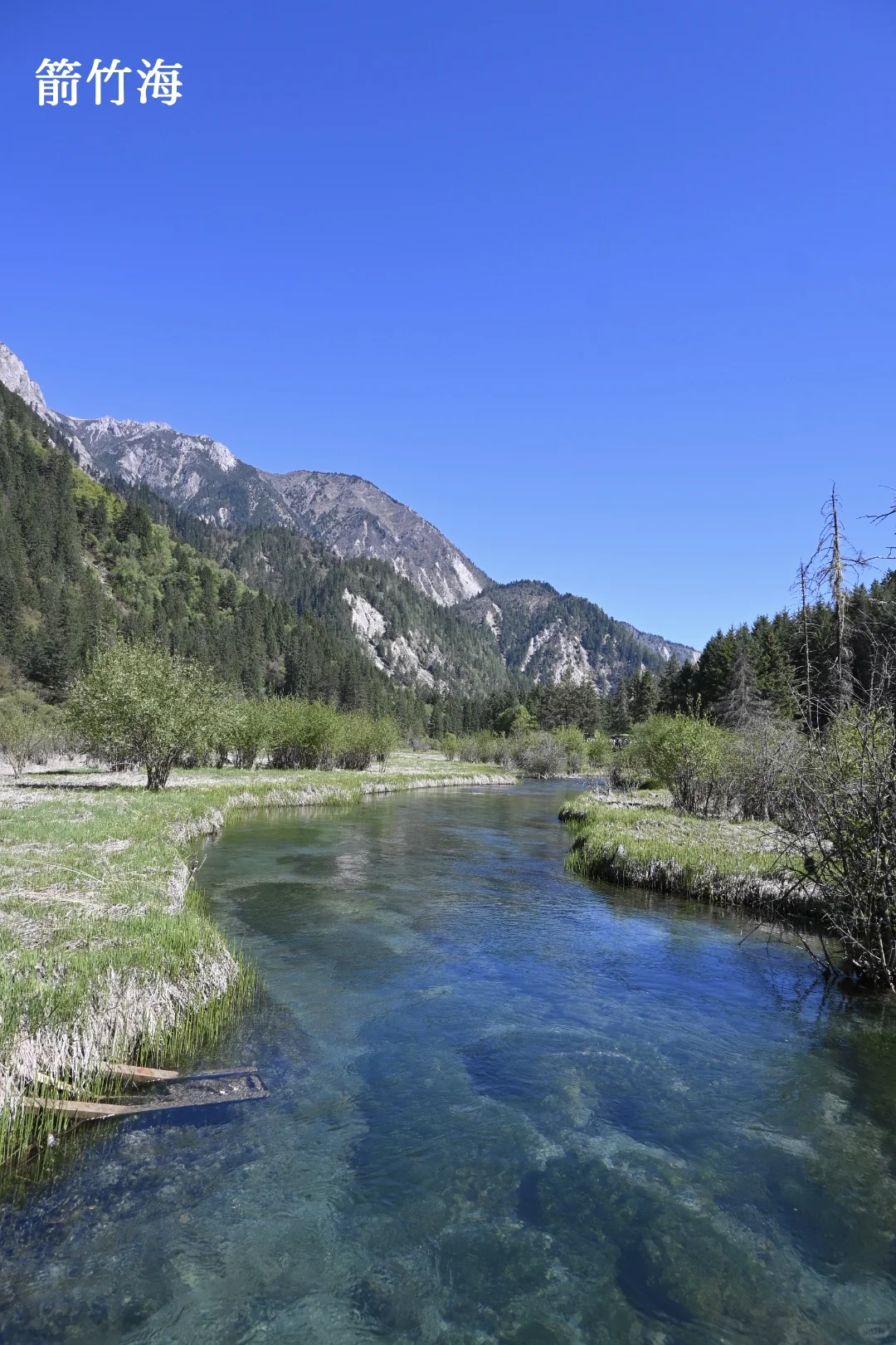 九寨周末景区两日深度游，实测可行！