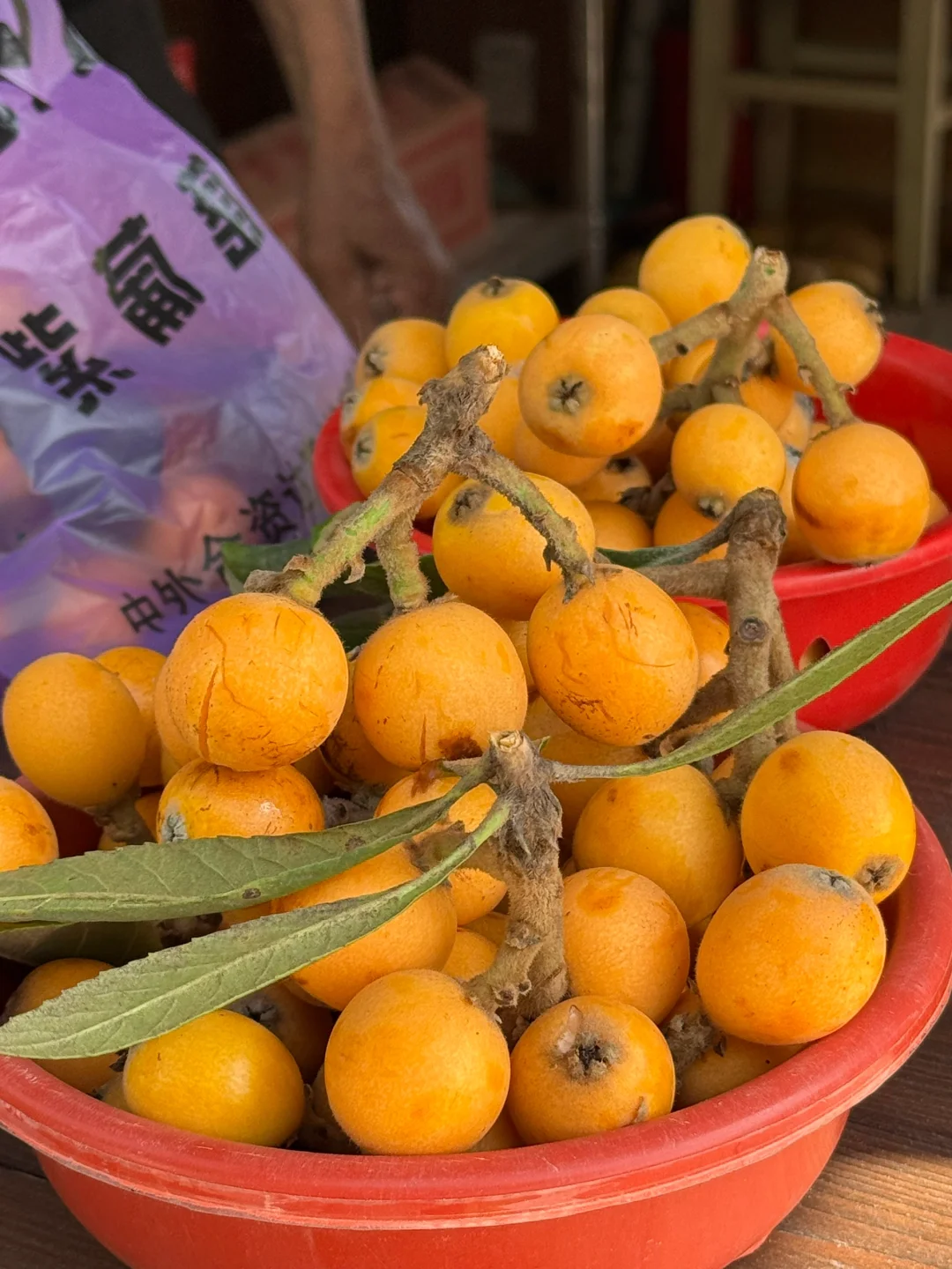 嘉兴超小众景区亲子徒步路线