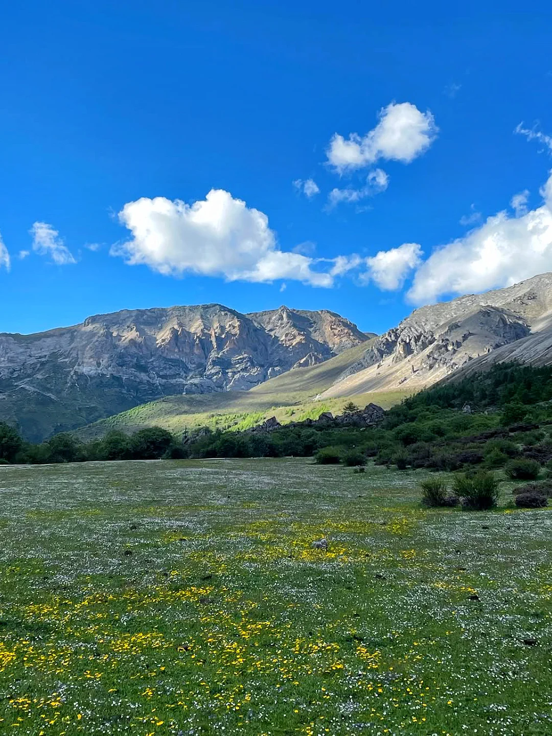 稻城亚丁🏔️的夏天美的像部电影一样🎬～