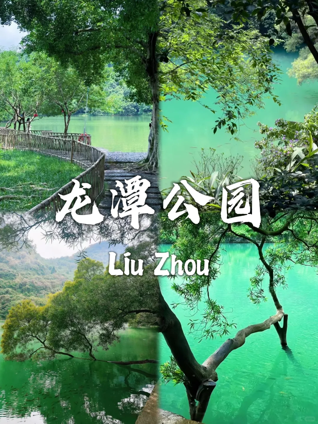 来柳州旅游不要错过这九个对方～