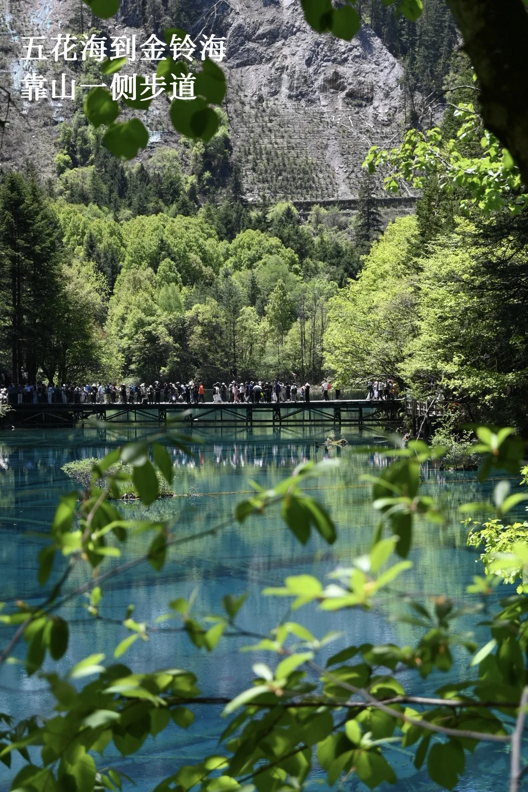 九寨周末景区两日深度游，实测可行！