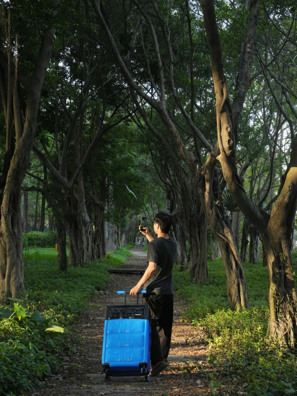 旅游博主必备！有它真的太方便了！