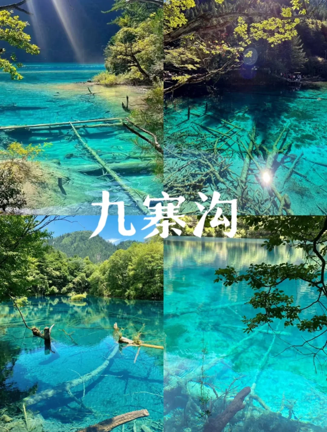 五六月出游就去这10个地方❗️人少景又美