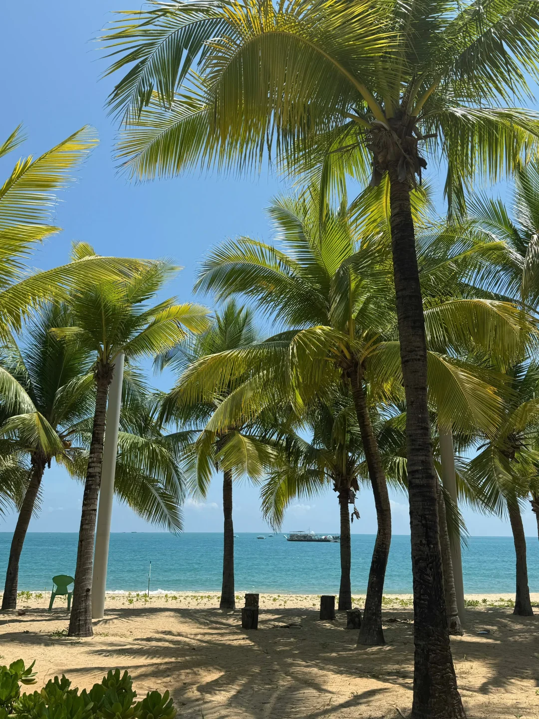 五一三亚穷游已回（😭人快崩溃了）