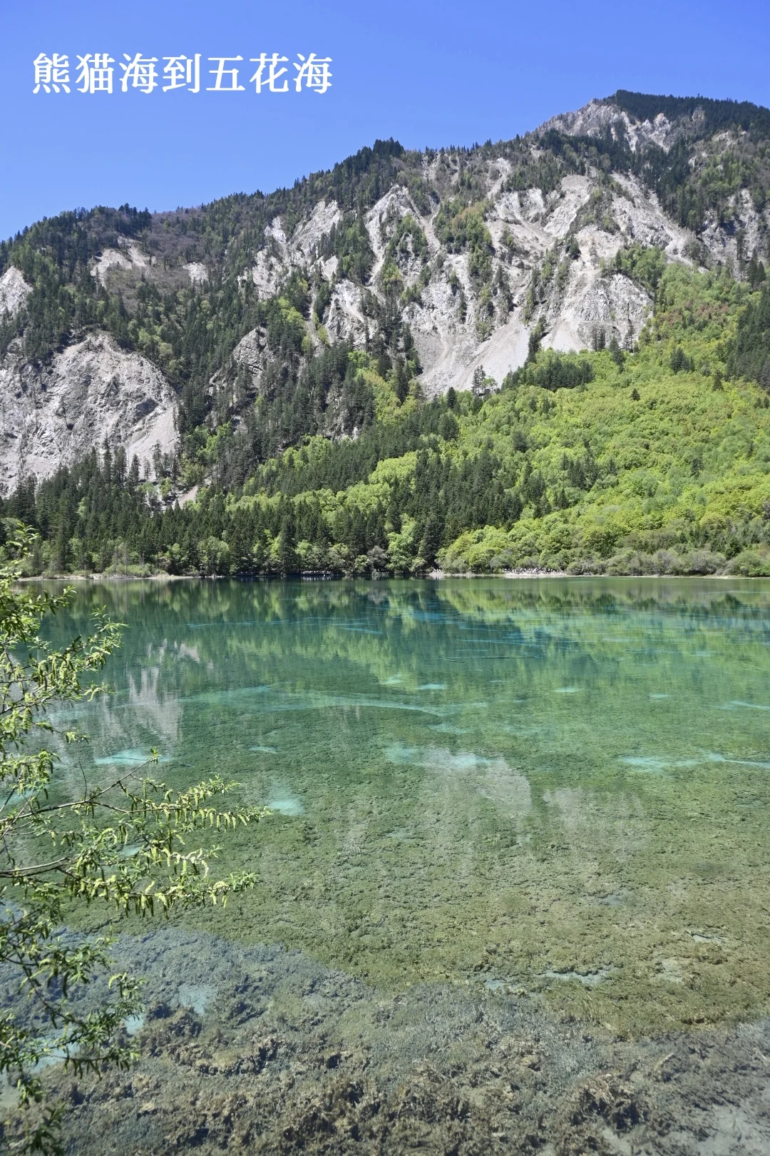 九寨周末景区两日深度游，实测可行！