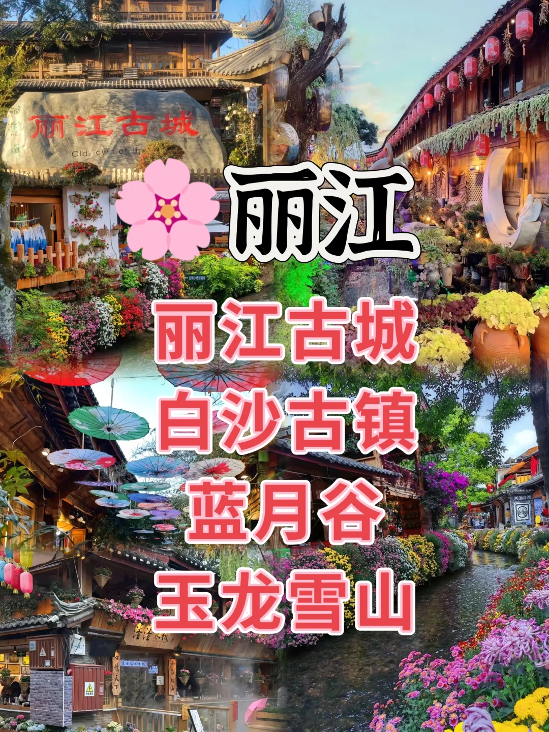 🌍 走遍华夏·国内十大热门城市深度游攻略