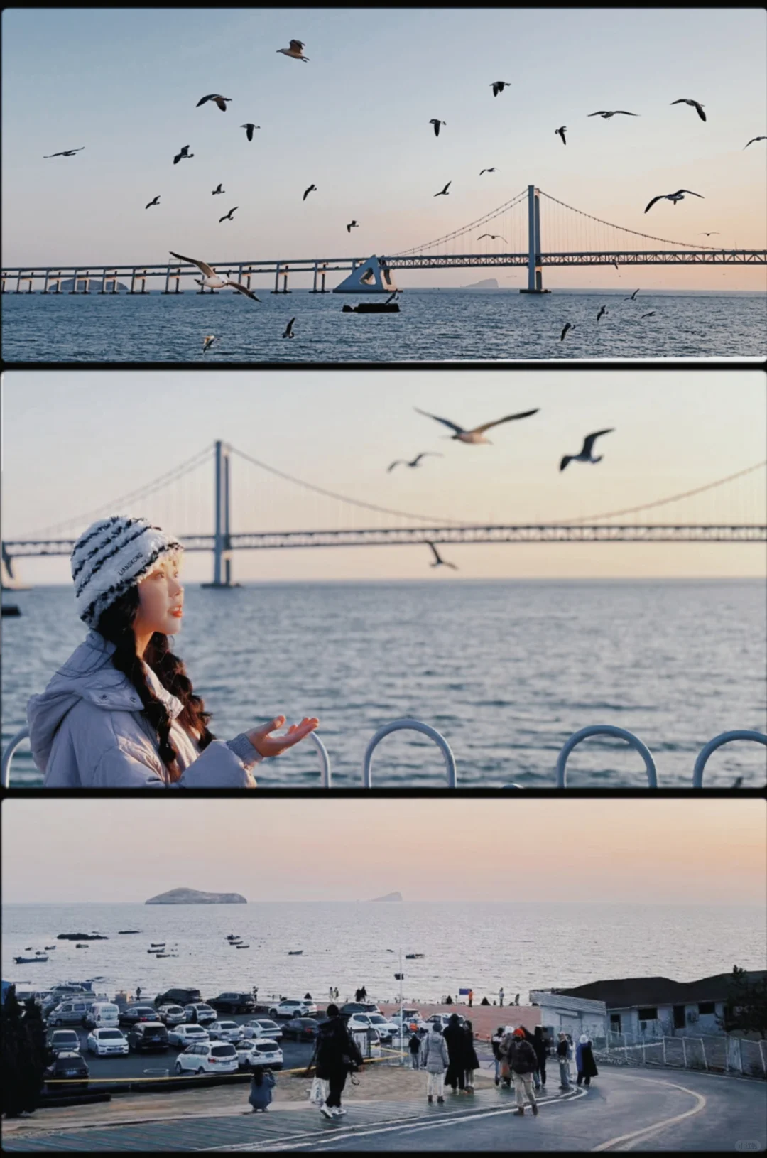 大连烟台青岛淄博济南｜300元玩五座城‼️