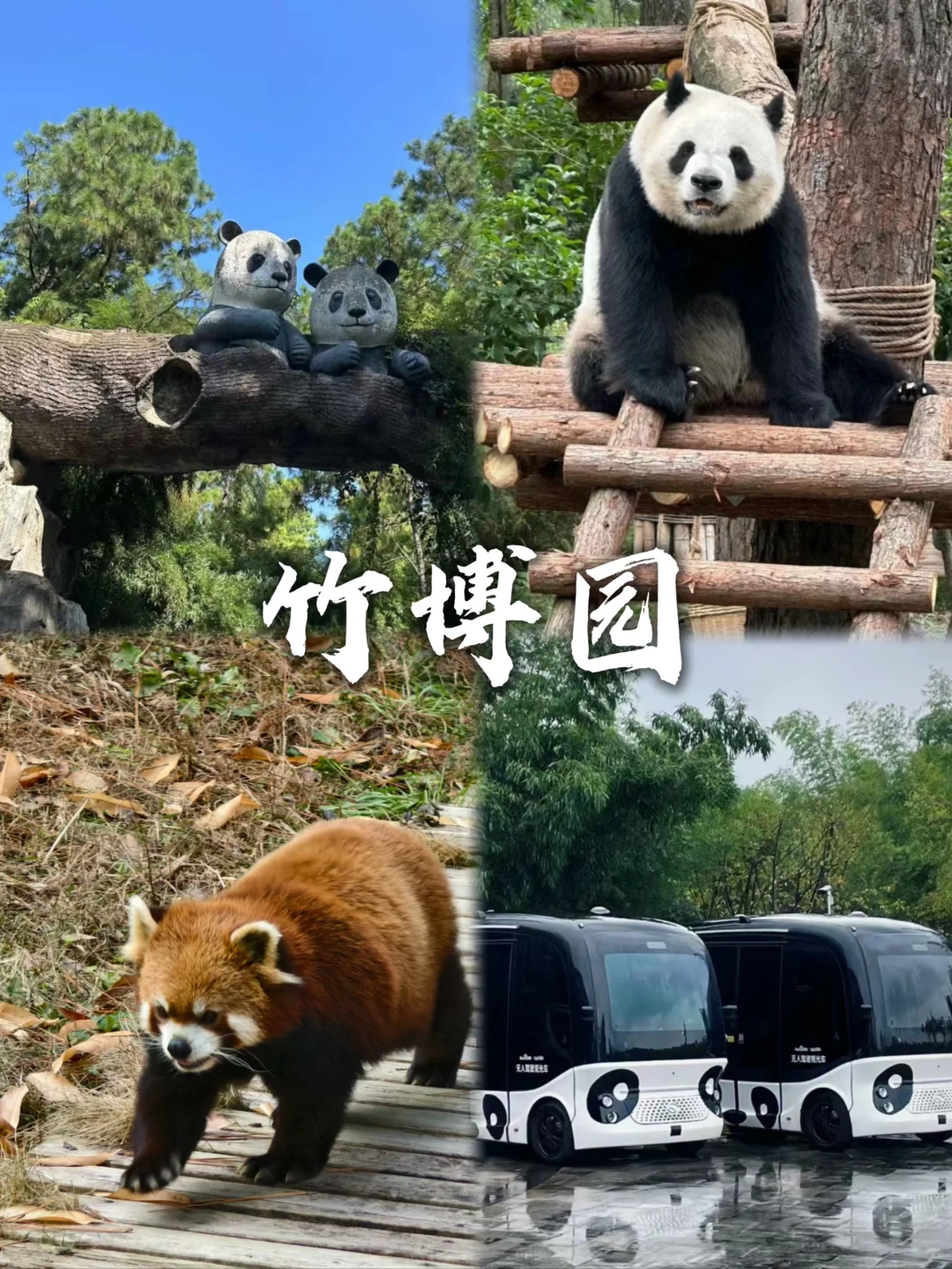 安吉旅游可以去这9个地方~