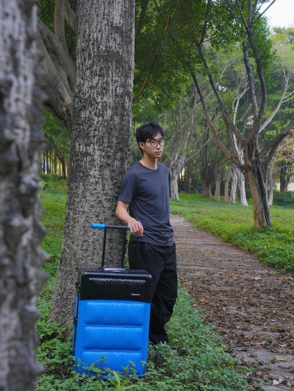 旅游博主必备！有它真的太方便了！