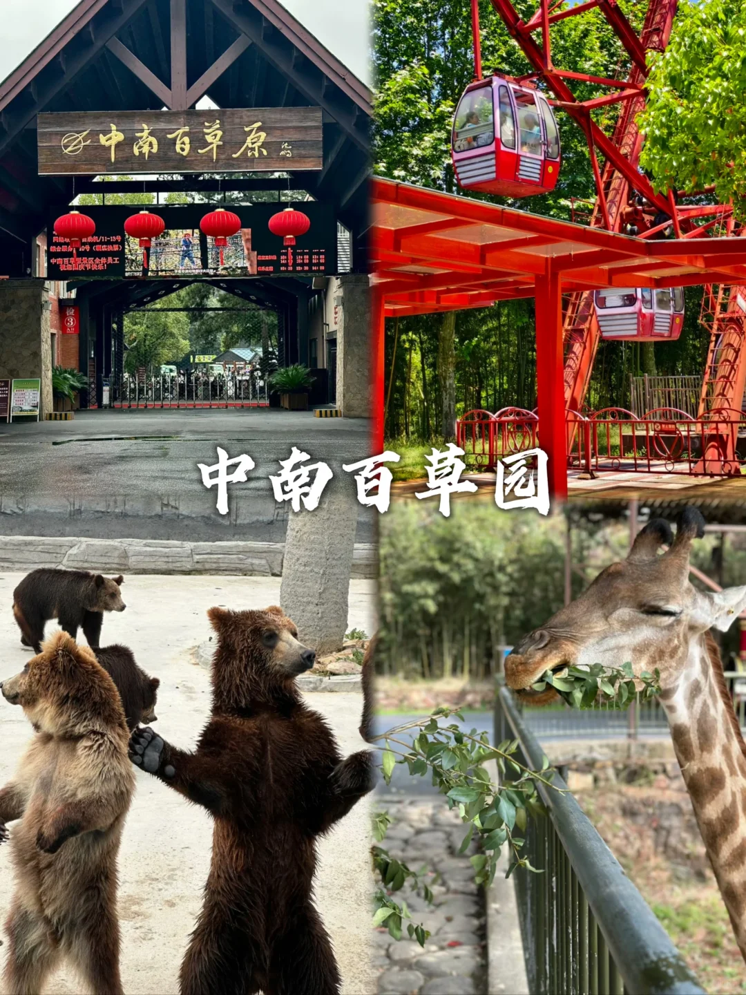 安吉旅游可以去这9个地方~