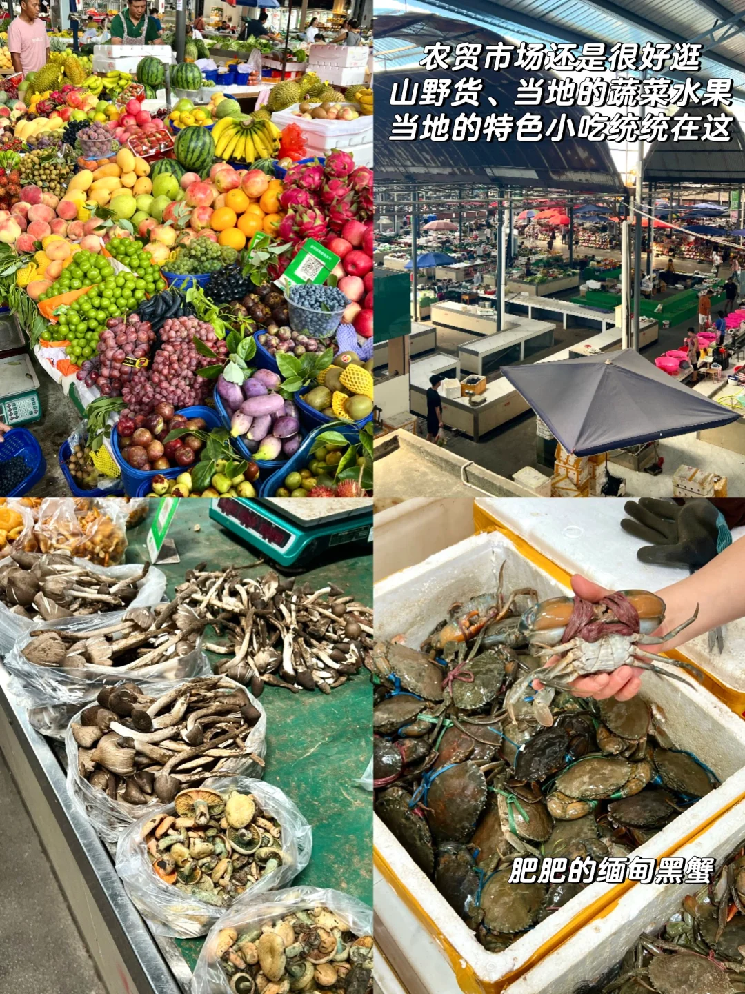 瑞丽｜你有点【缅】值得一探究竟的边陲小城.