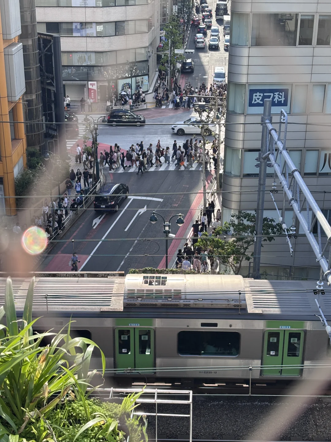 首尔飞东京 旅游攻略总消费✅