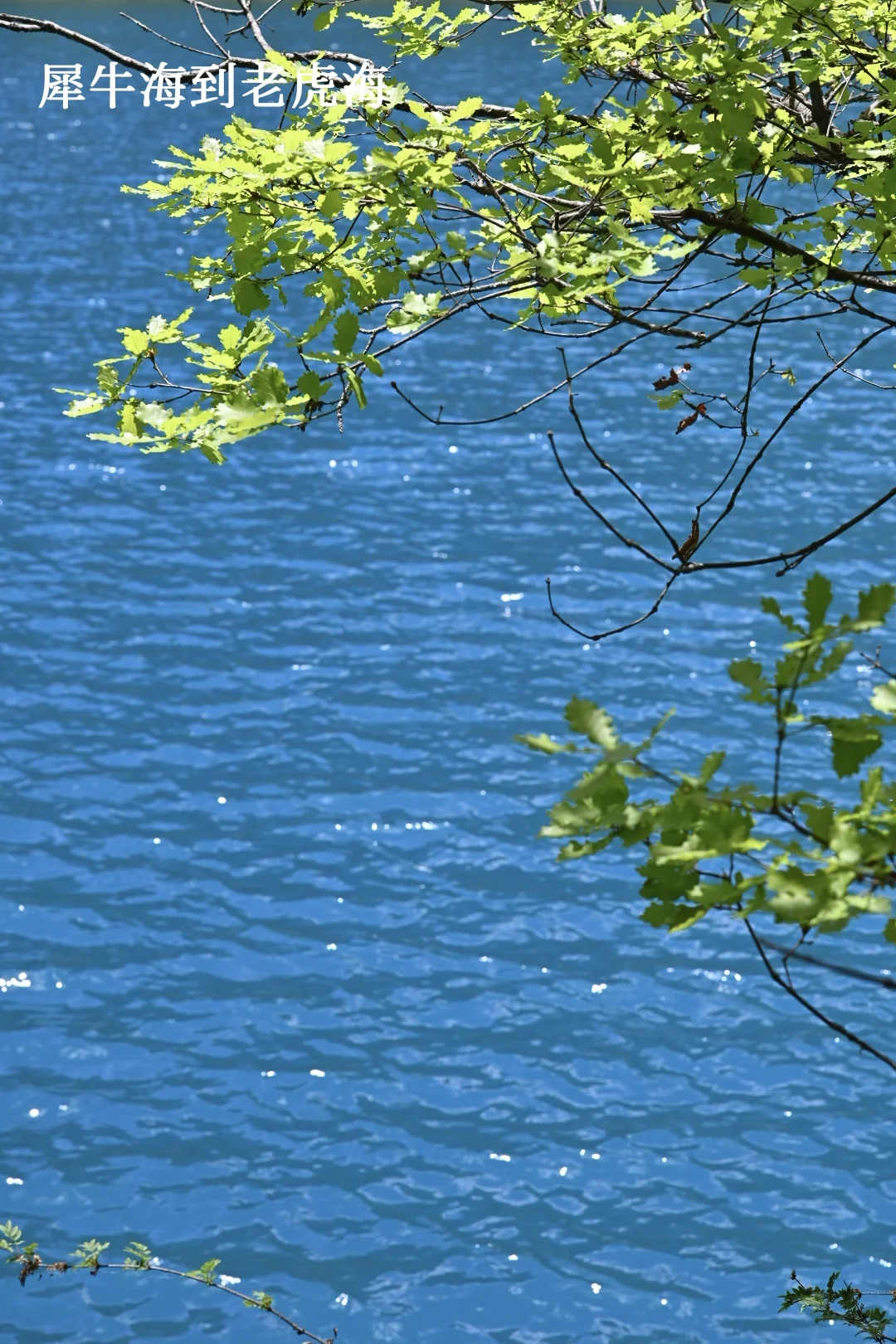 九寨周末景区两日深度游，实测可行！