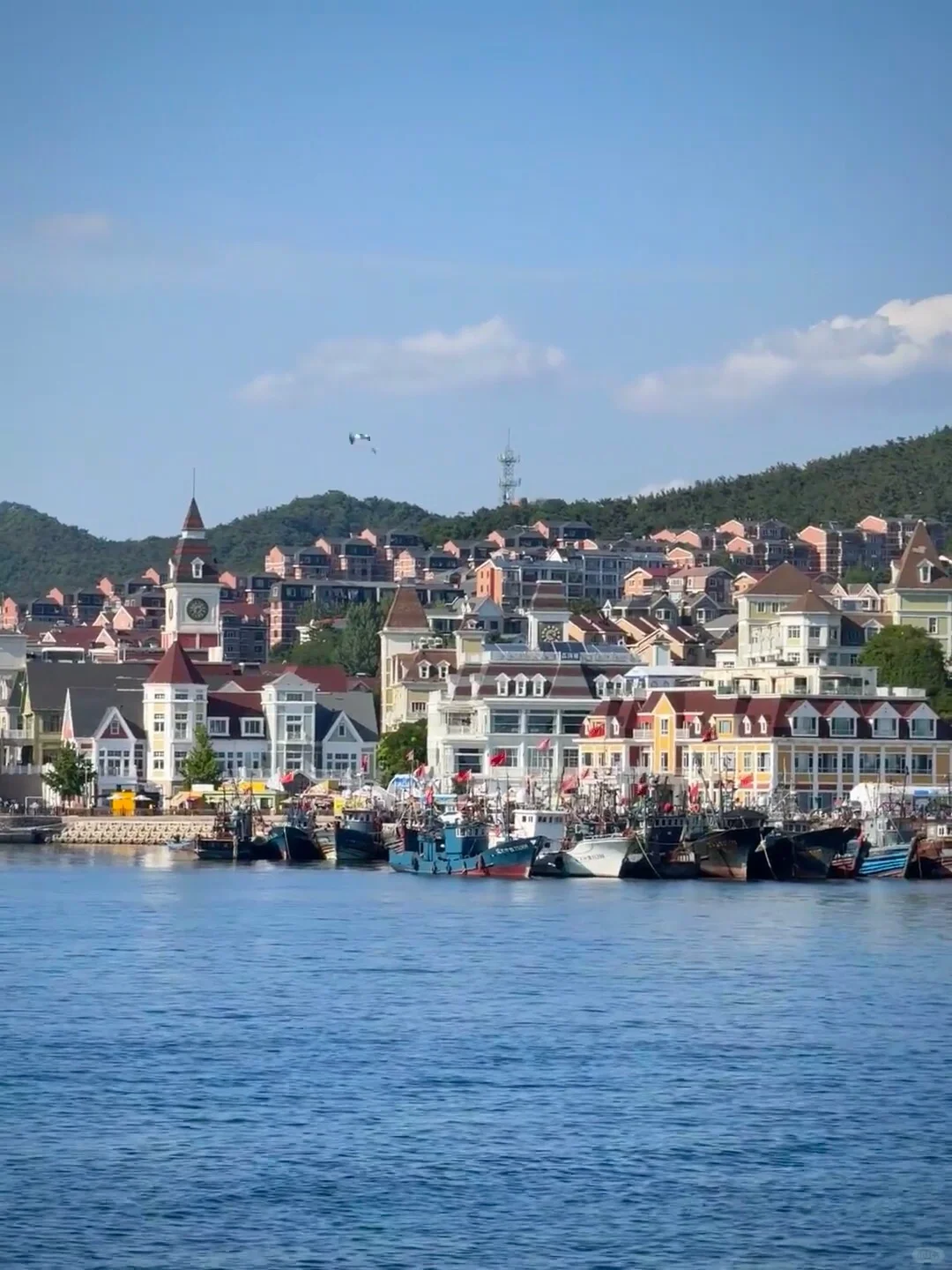 大连5月景点红黑榜📍建议去🆚不建议去
