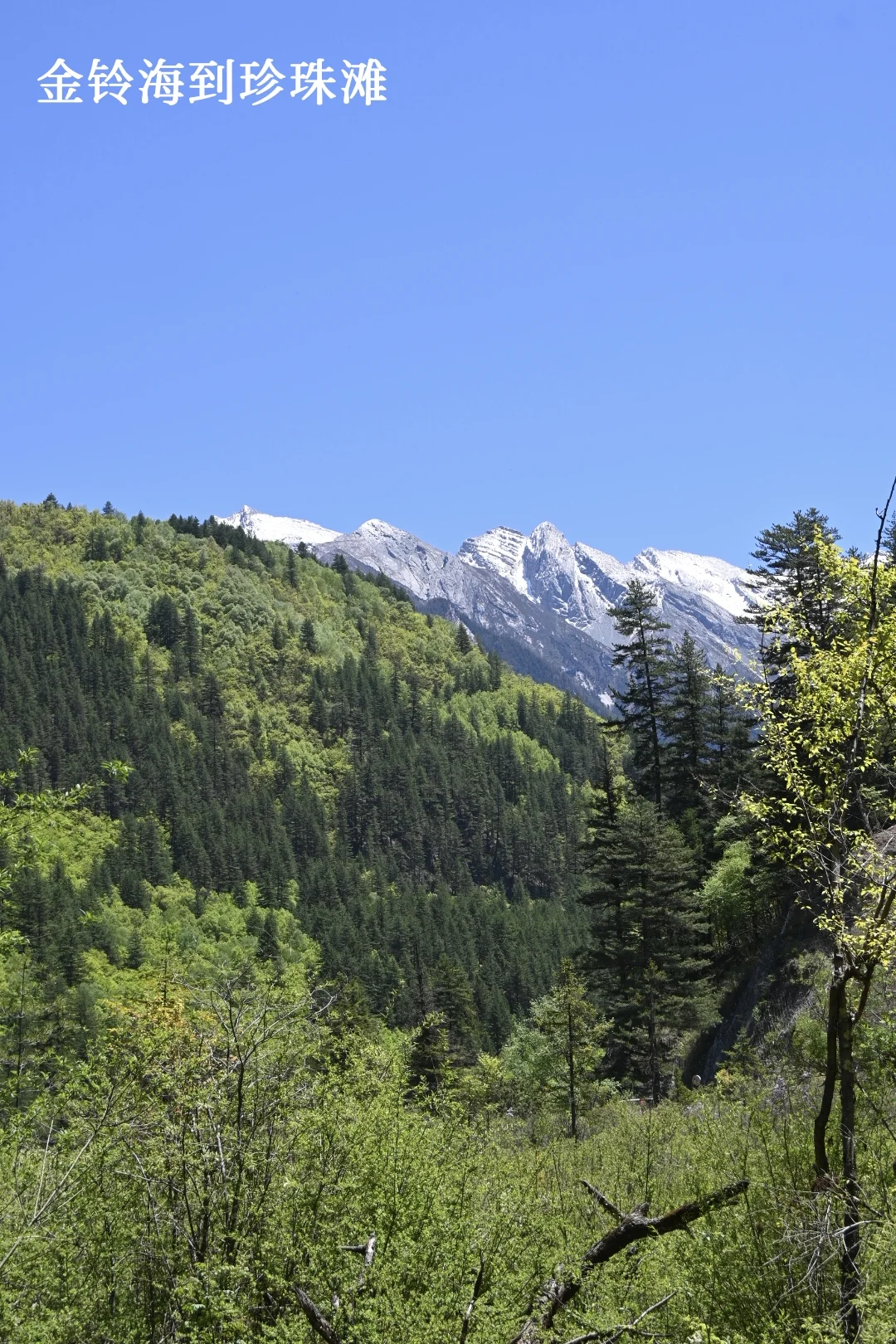 九寨周末景区两日深度游，实测可行！