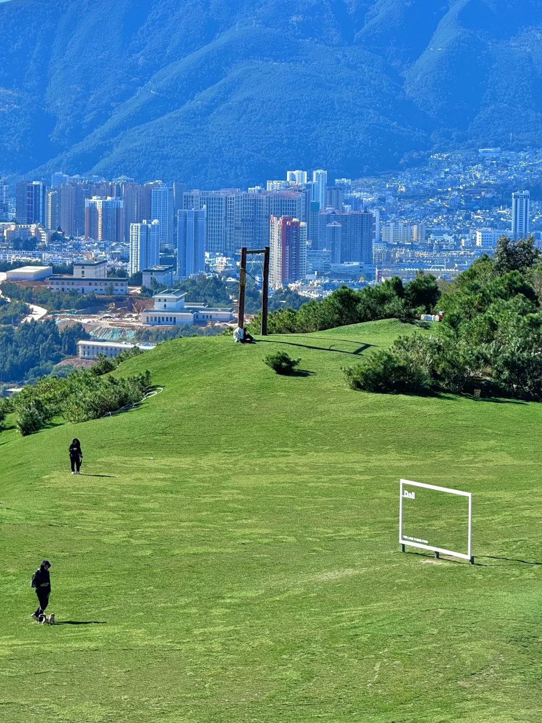 大理新西兰🌳🌳这就是live图的意义