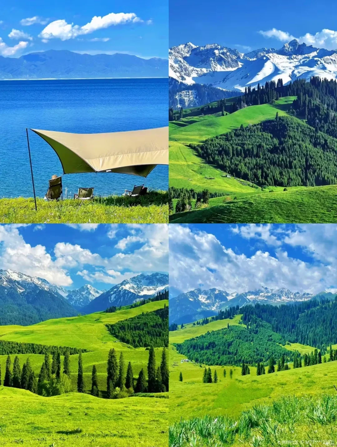 新疆旅游必看攻略