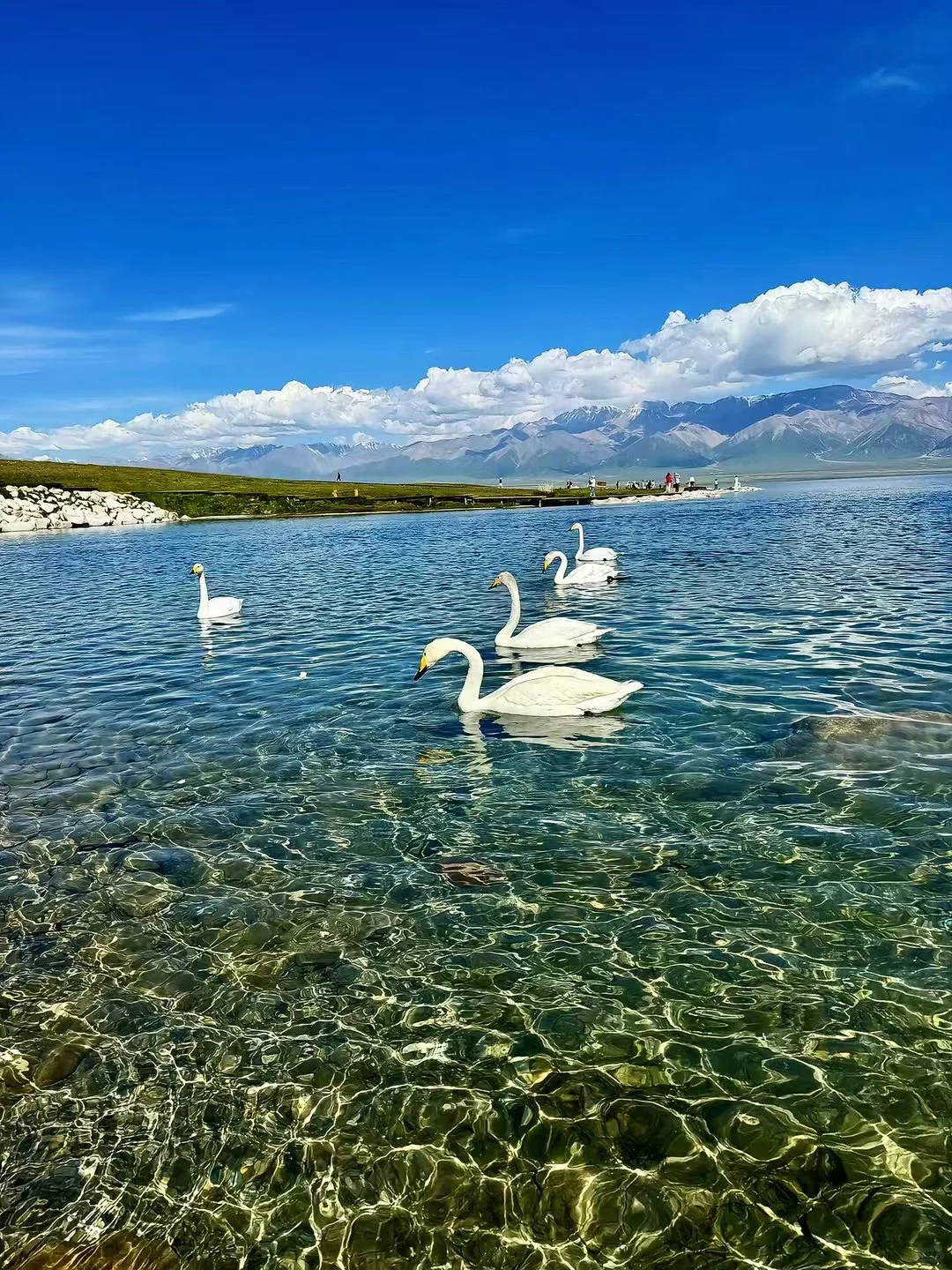 为什么5月去赛里木湖最合适？