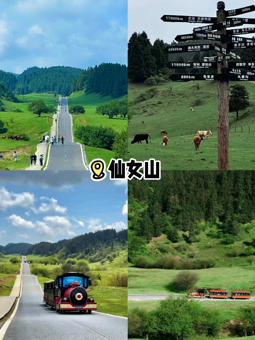 淡季来重庆这么玩‼️四天三晚人均 700+💰