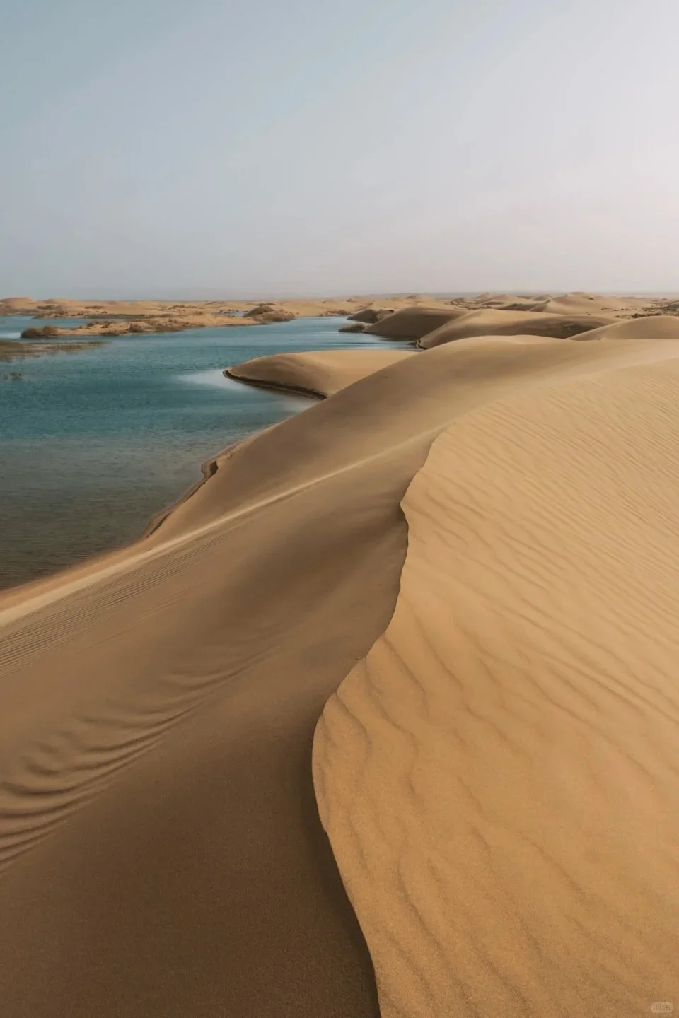 乌海｜一半沙漠一半海，完全被低估的城市