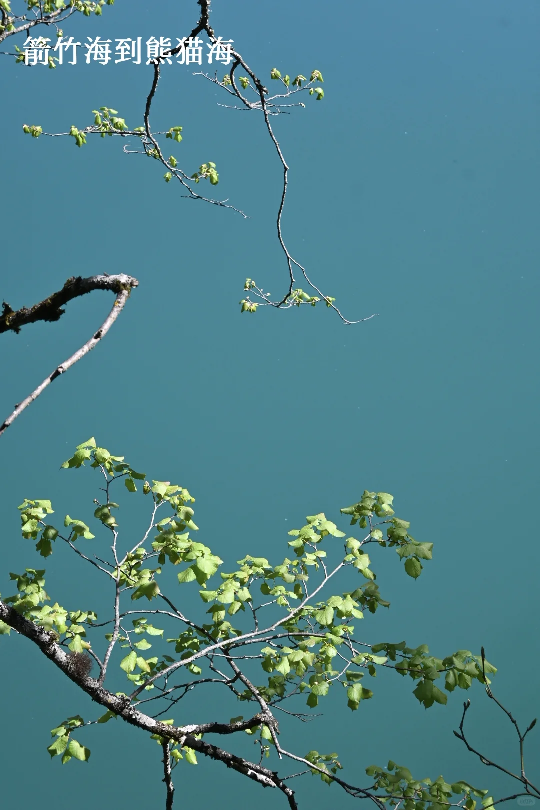 九寨周末景区两日深度游，实测可行！