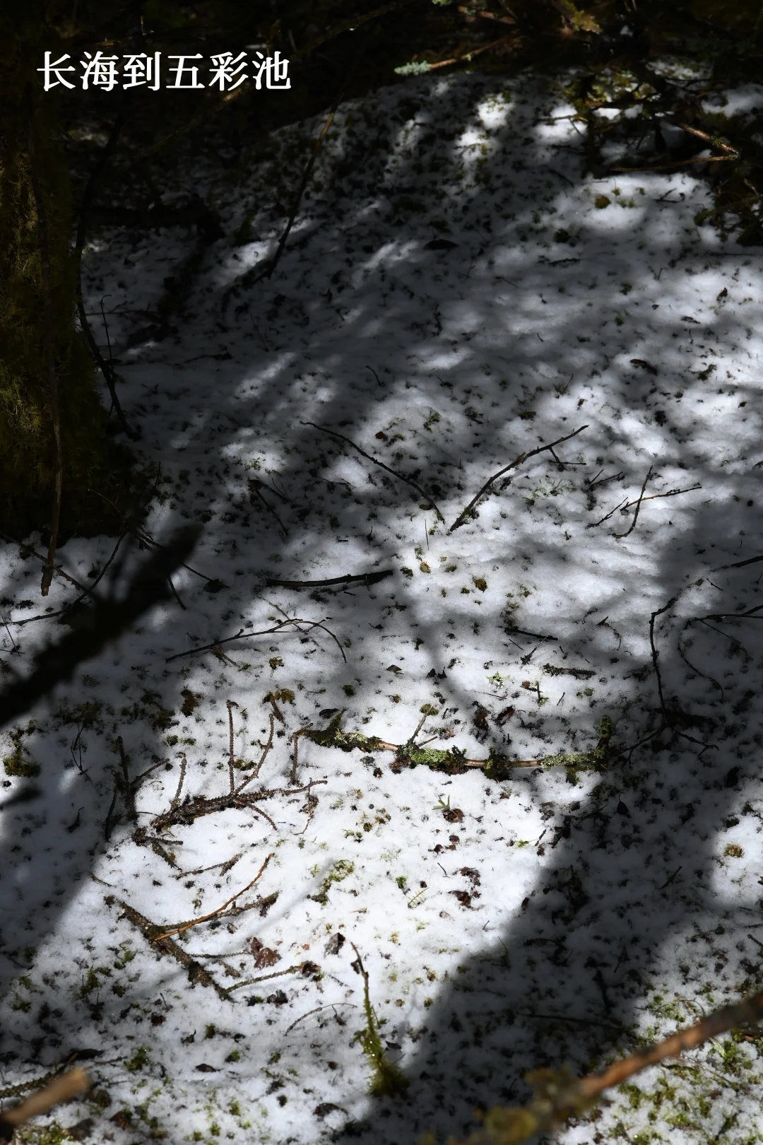 九寨周末景区两日深度游，实测可行！