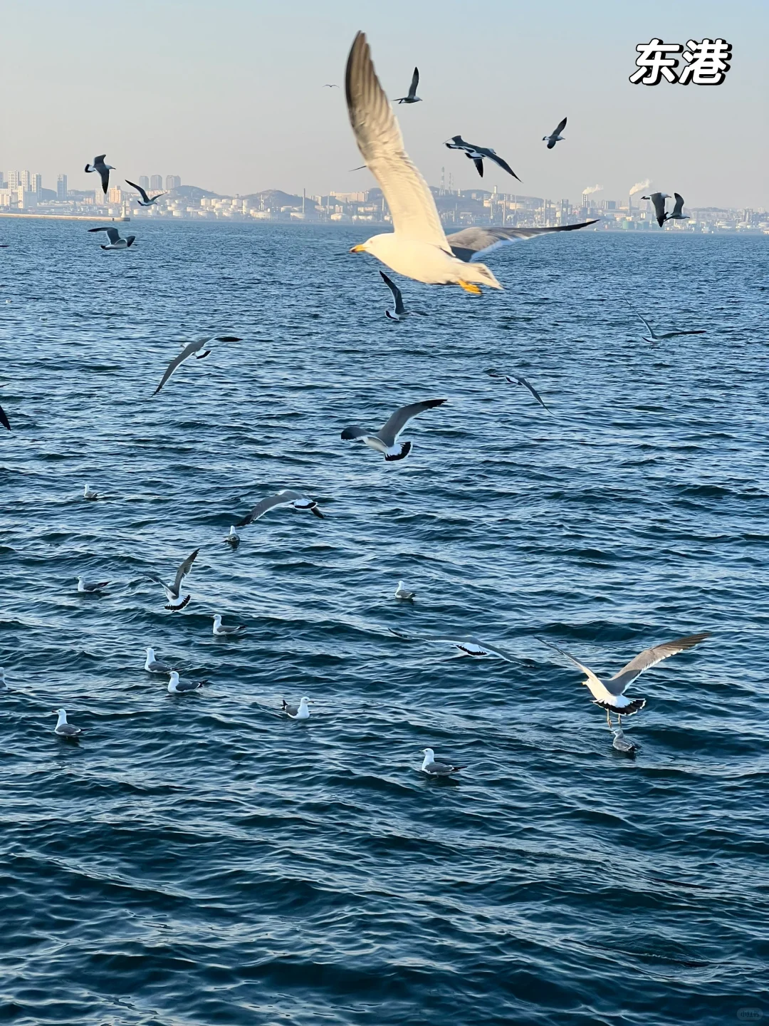 📍大连|北京-大连 3日旅游攻略