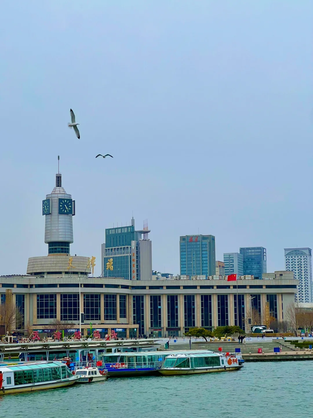 为了这18张照片📸来了趟天津✈️