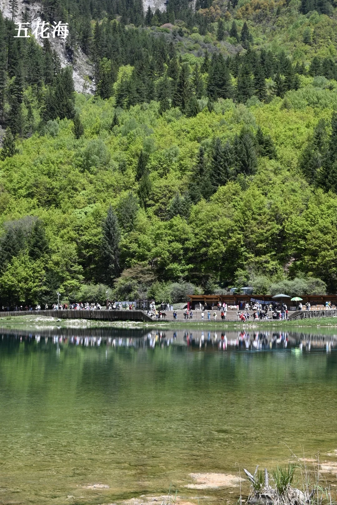 九寨周末景区两日深度游，实测可行！