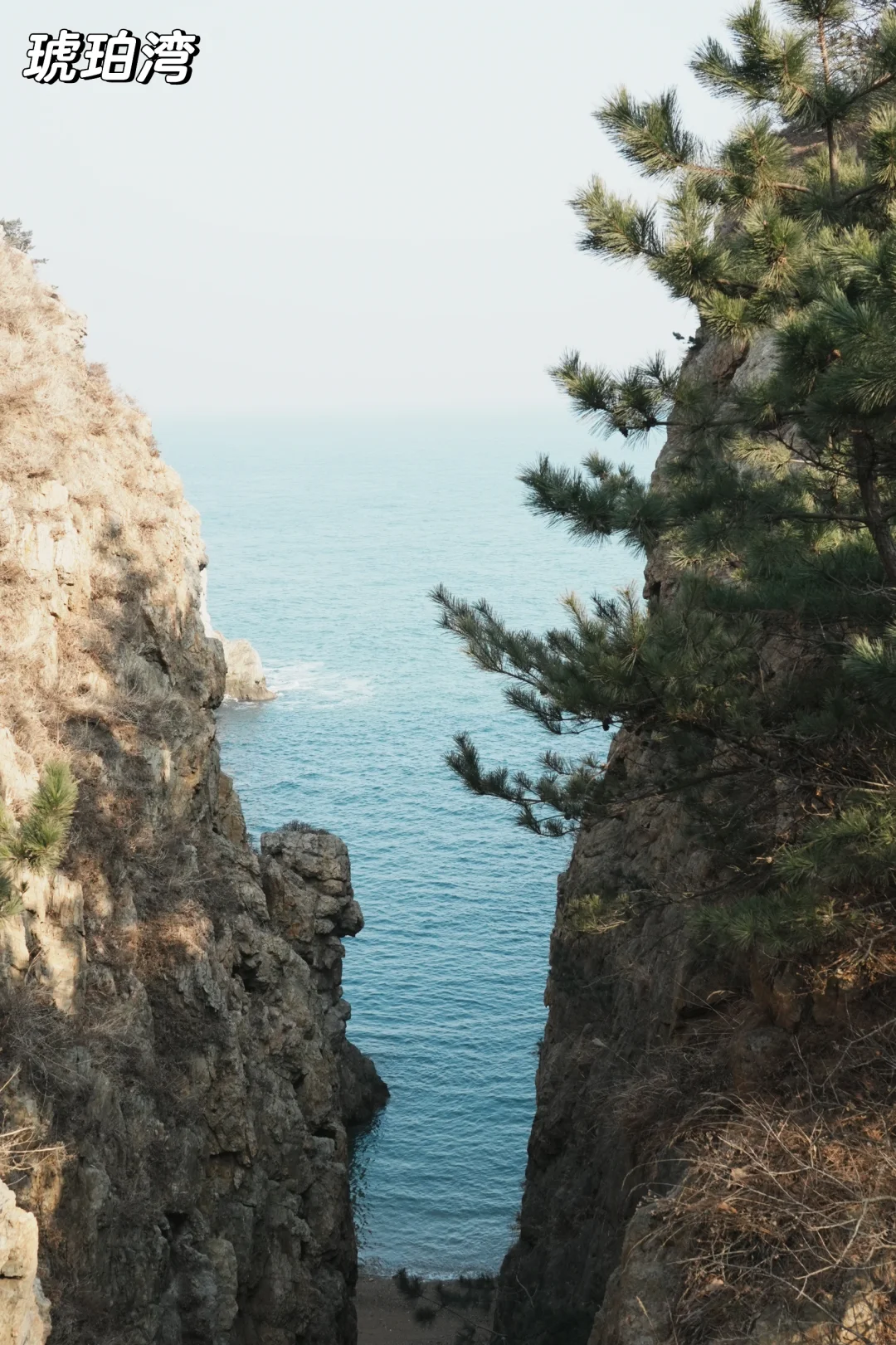 📍大连|北京-大连 3日旅游攻略
