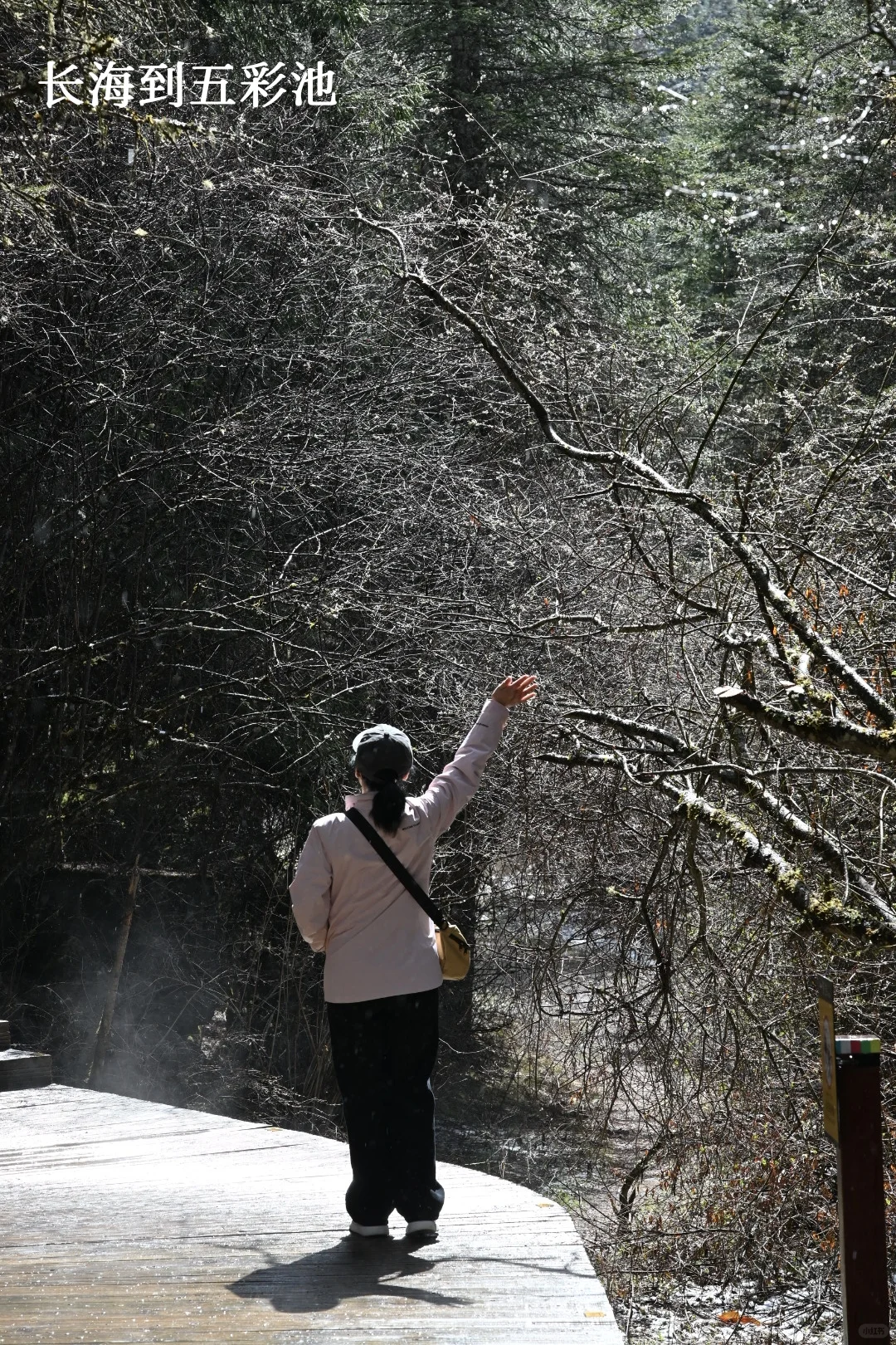 九寨周末景区两日深度游，实测可行！