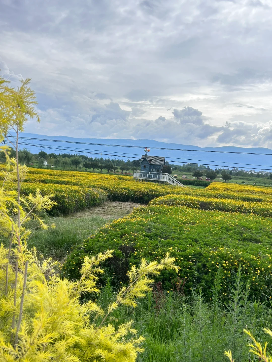 云南旅行攻略,建议4-5月淡季去,人少景美!