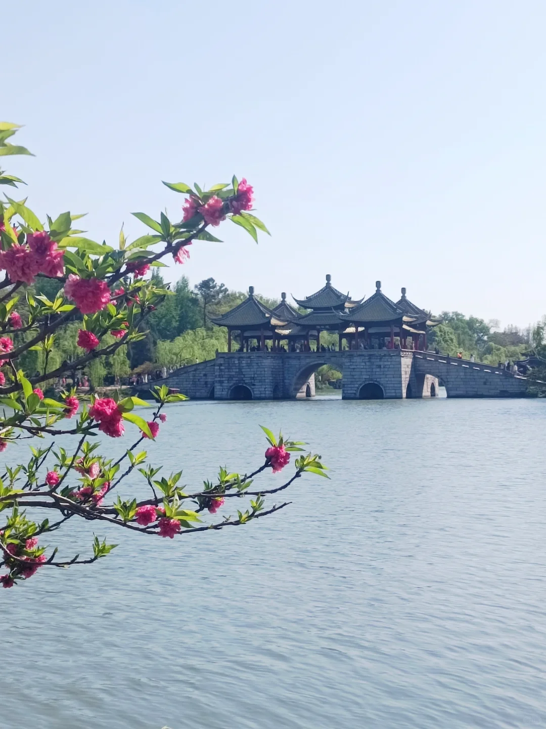 为了这个镜头，去了一次扬州