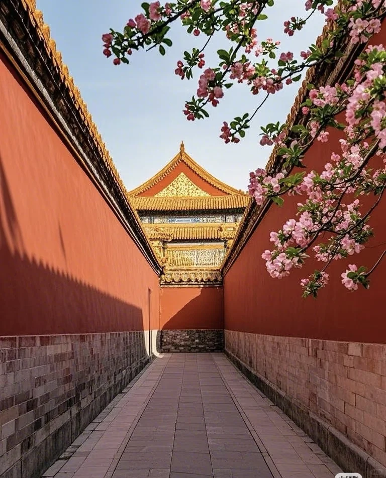 谁说北京一定很远✈️✈️