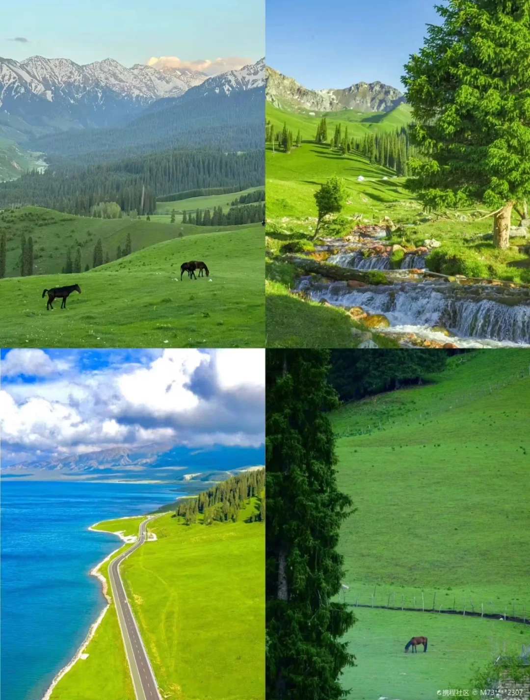 新疆旅游必看攻略