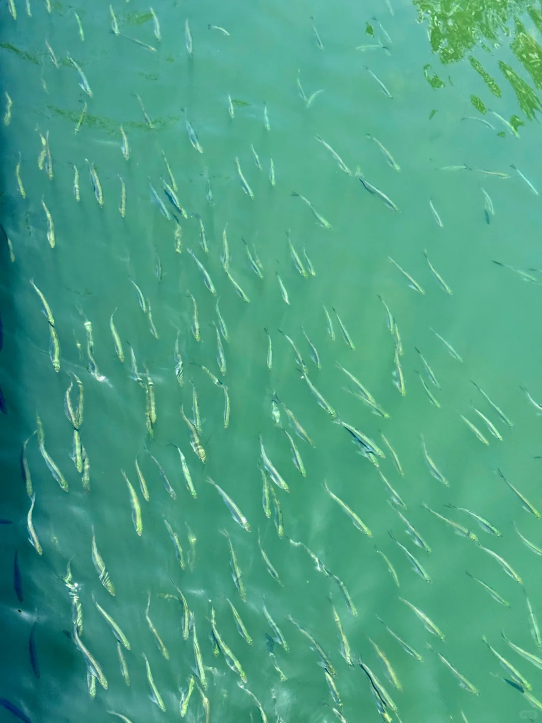 嘉兴超小众景区亲子徒步路线