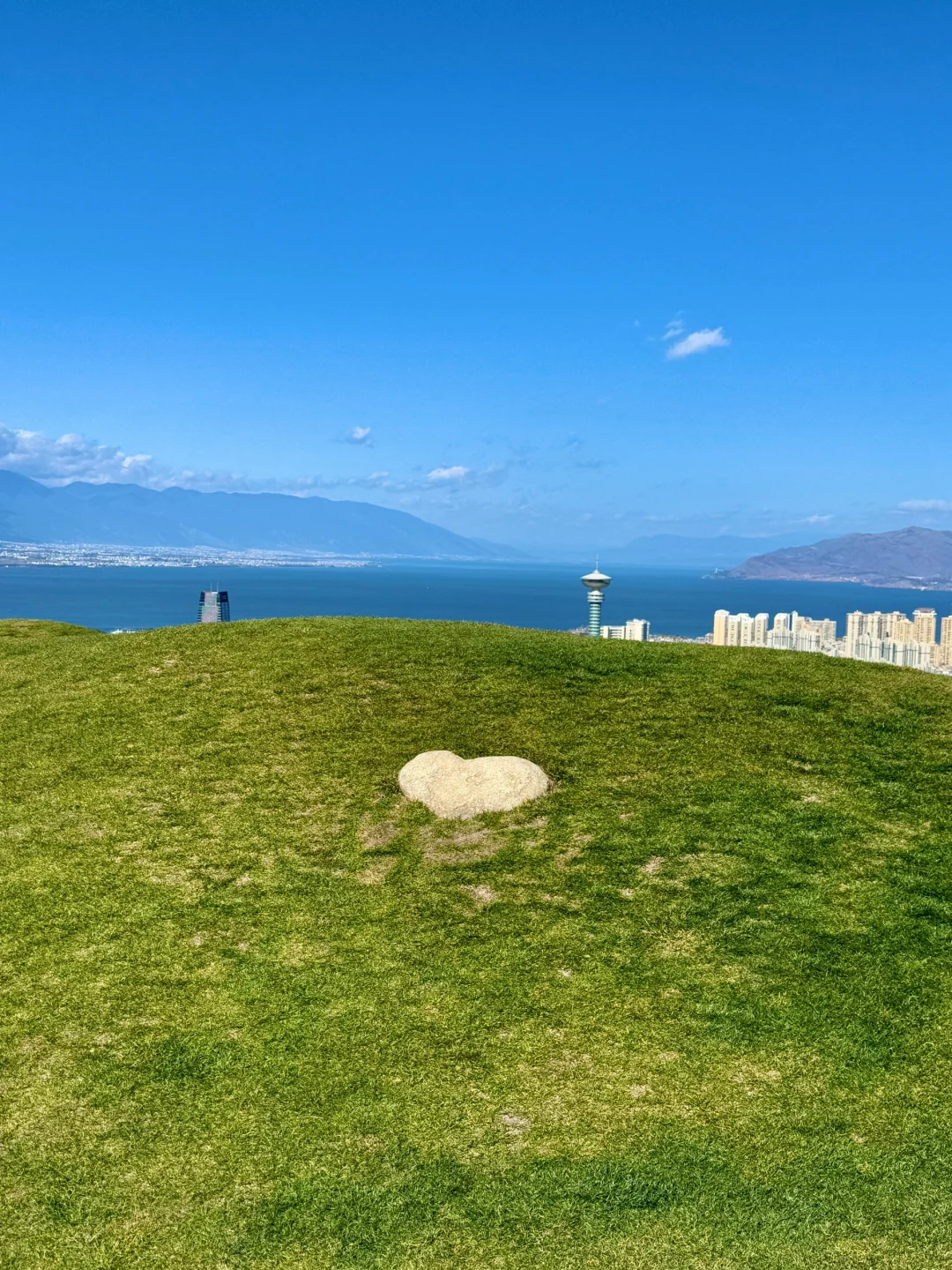 大理新西兰🌳🌳这就是live图的意义