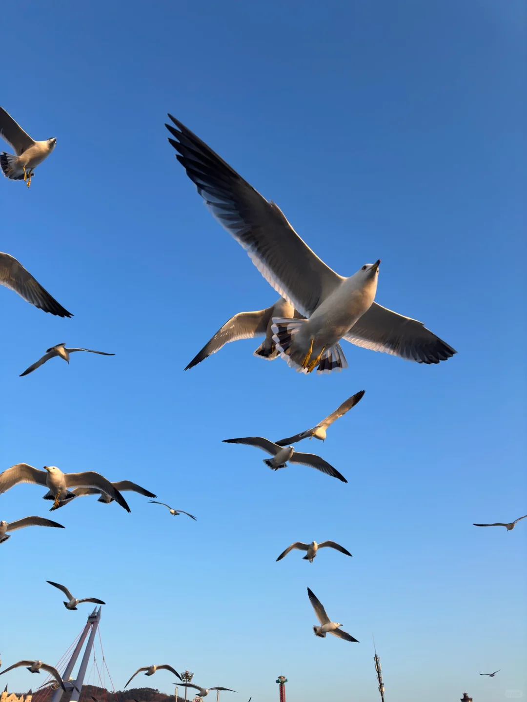 大连烟台青岛淄博济南｜300元玩五座城‼️