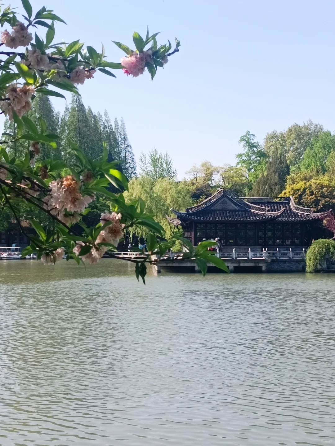 为了这个镜头，去了一次扬州