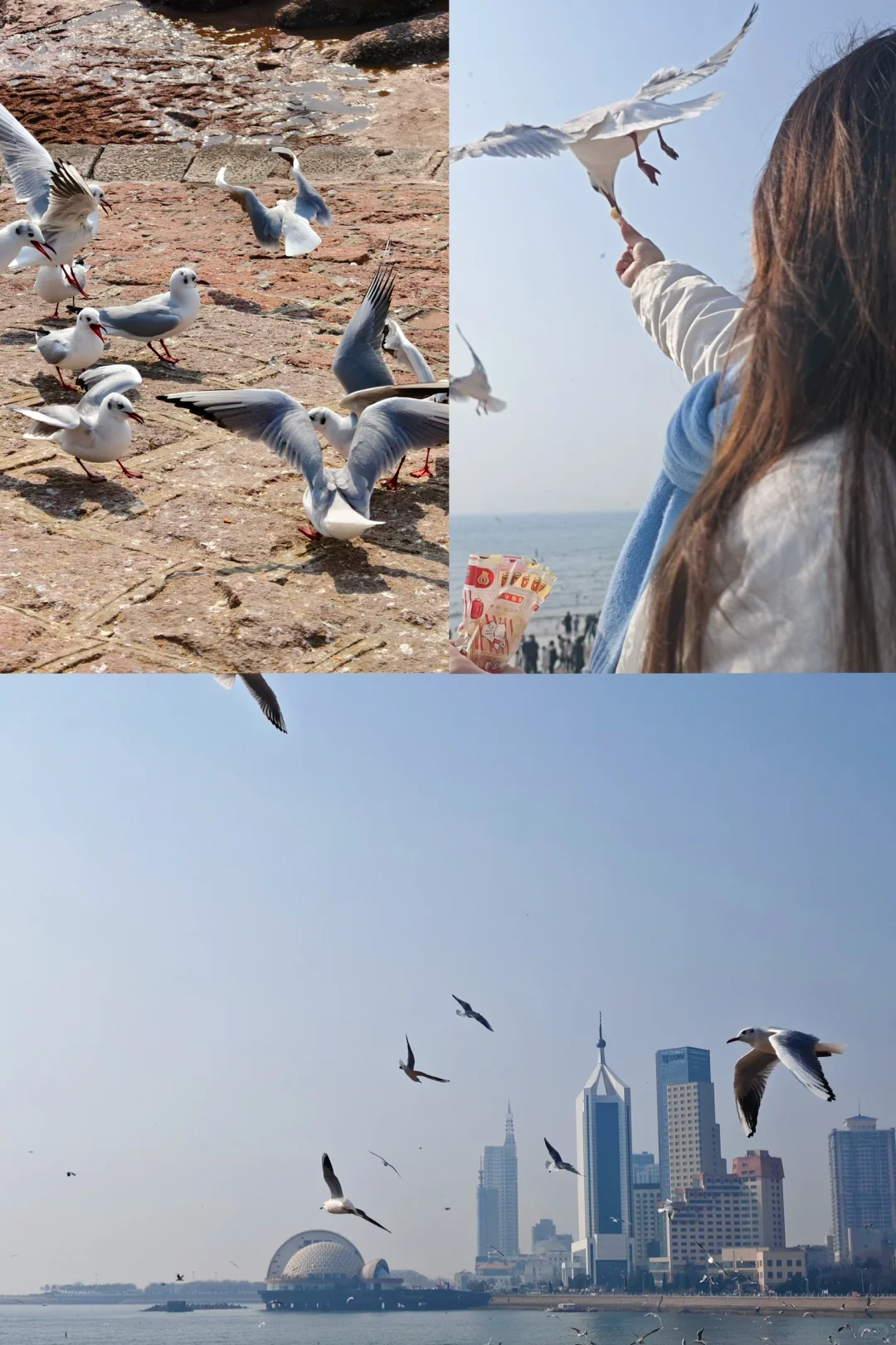 太原周末省外两天一晚游青岛!