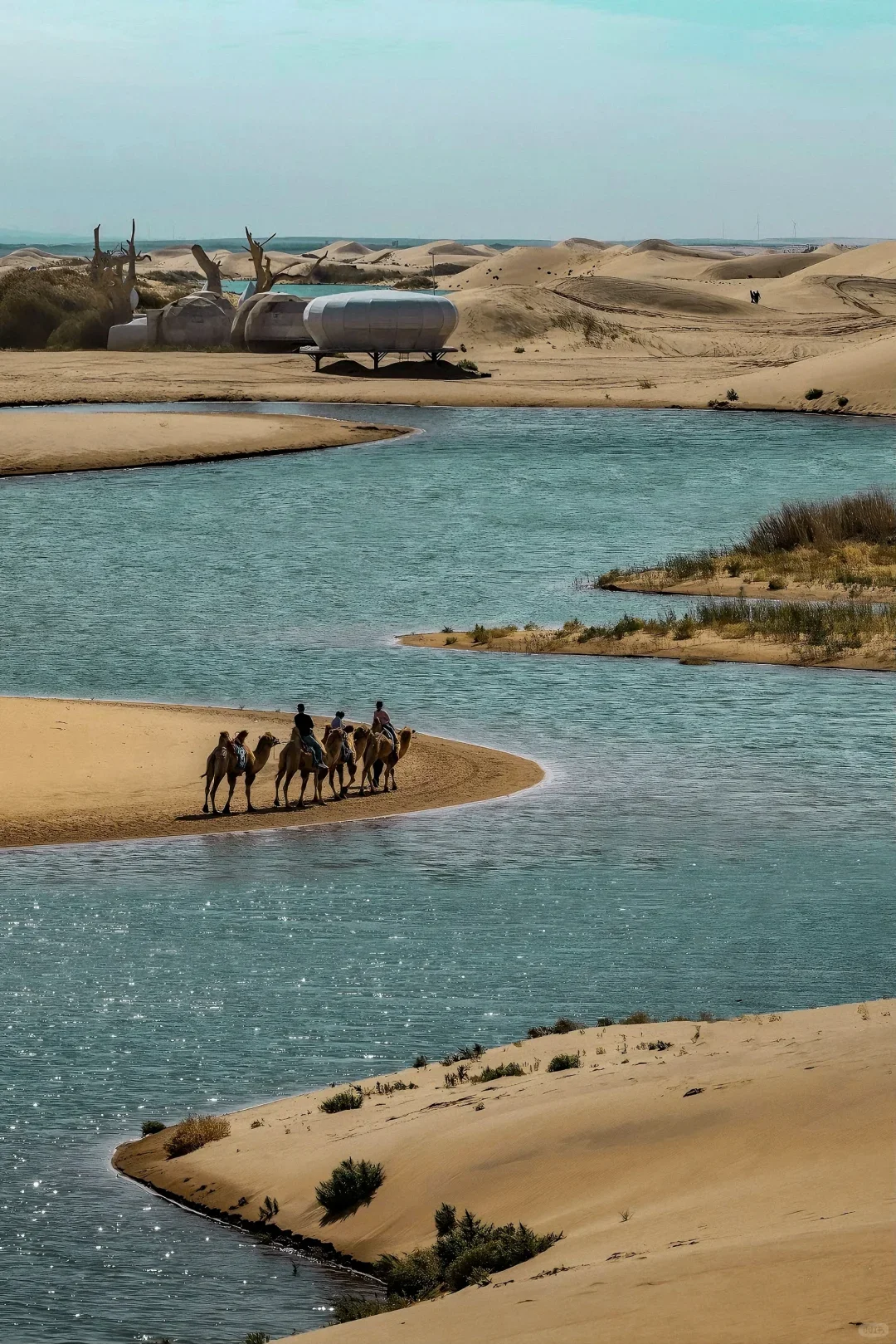 乌海｜一半沙漠一半海，完全被低估的城市