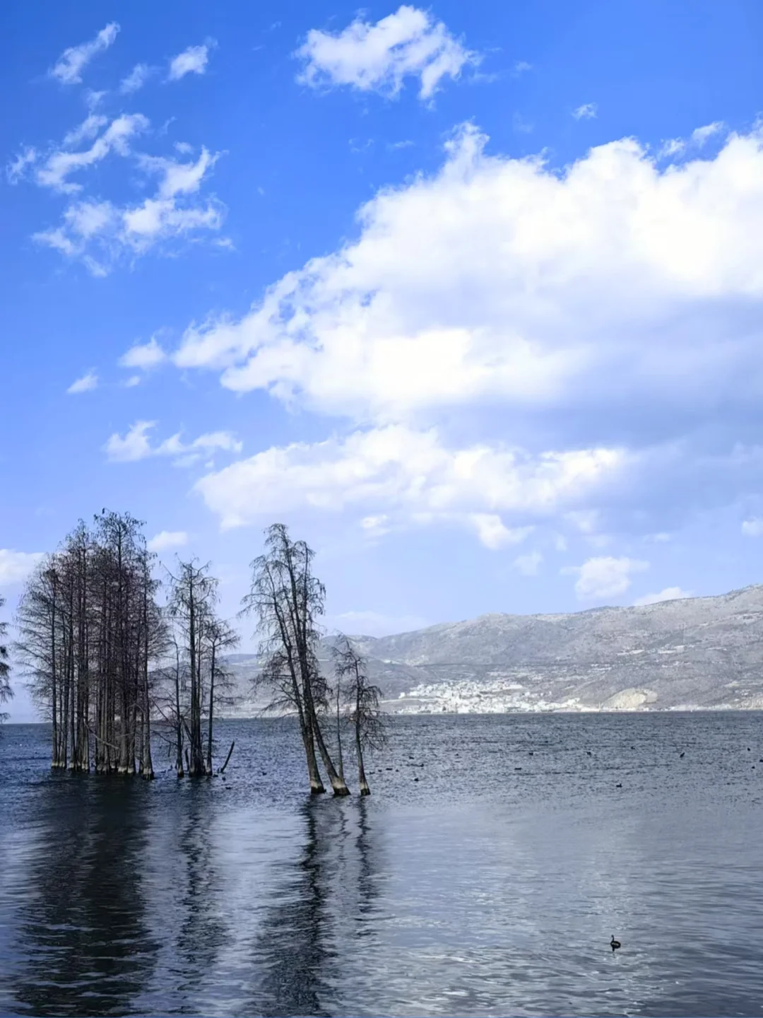 云南旅行攻略,建议4-5月淡季去,人少景美!