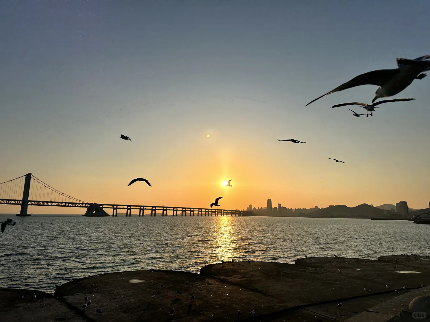 大连烟台青岛淄博济南｜300元玩五座城‼️