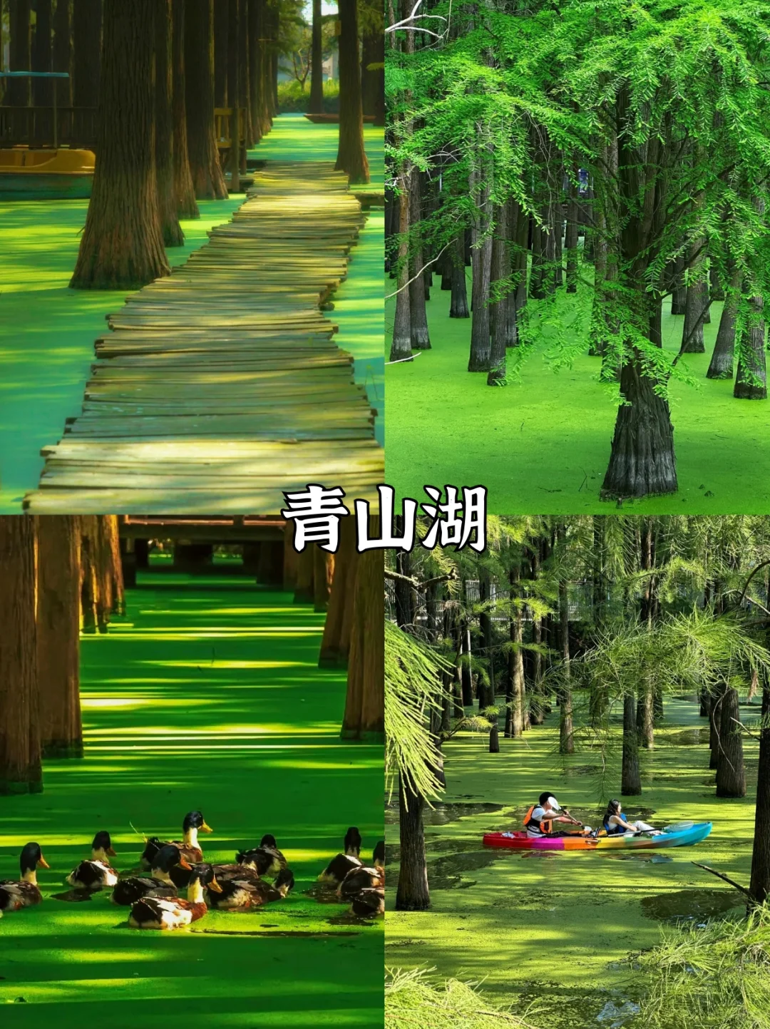 第一次去杭州✅看这篇就够啦‼️景点超全攻略